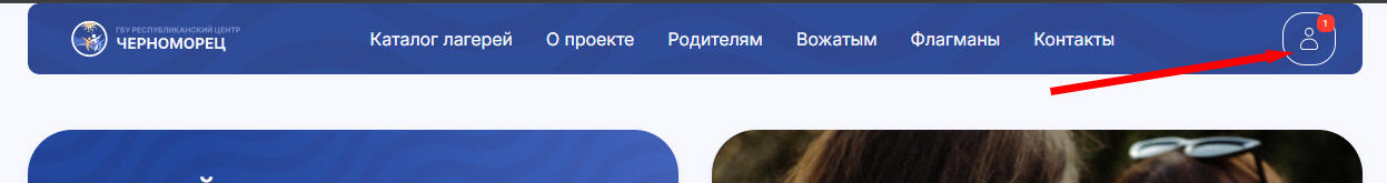 Ins1